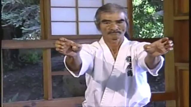 Uechi Ryu Techniques