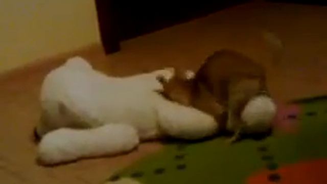 проказница зина смотреть онлайн