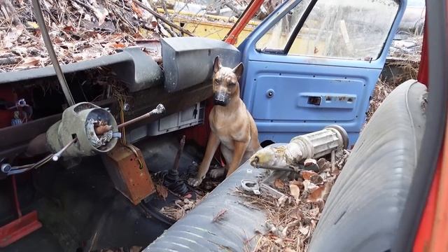 Truck Week EP12 - Dodge Sno Fiter смотреть онлайн
