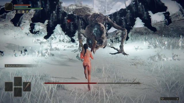 Elden Ring - Lvl1 Wretch vs Death Rite Bird [No Damage] смотреть онлайн