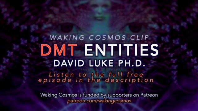 What are DMT Entities? | David Luke Ph.D. on Waking Cosmos смотреть онлайн
