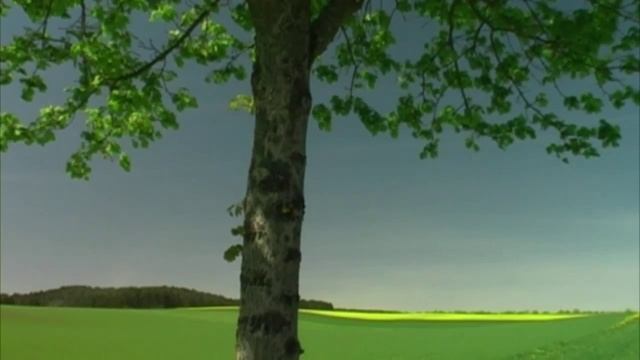 Послание учителей смотреть онлайн