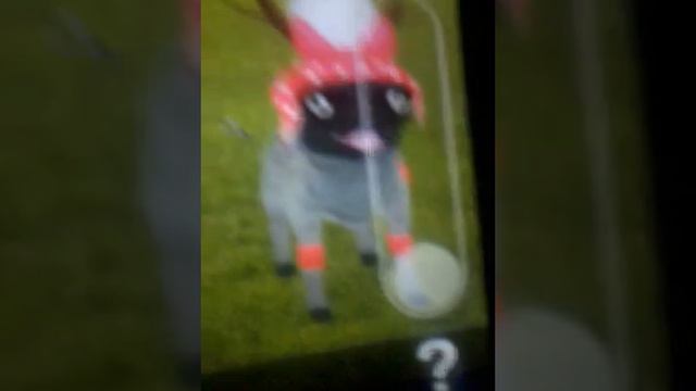 Игра style me girl. Собака или олень? o_O смотреть онлайн