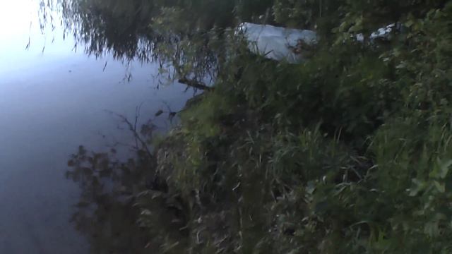 С Ваней на Волге 15.06.2018 смотреть онлайн