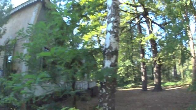 Где снимали кино, там трава не растет (с). Заброшенный пансионат в Пуще-Водице смотреть онлайн