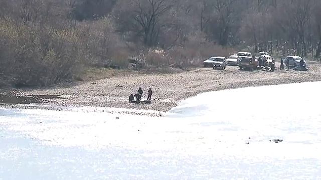 Тело пропавшей в Покровке Анастасии Хроленко ищут волонтеры смотреть онлайн