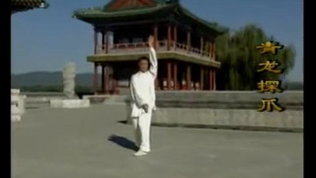 Chenshi Bagua Zhang  Liu Jing Ru  (Part 1)程式八卦掌上