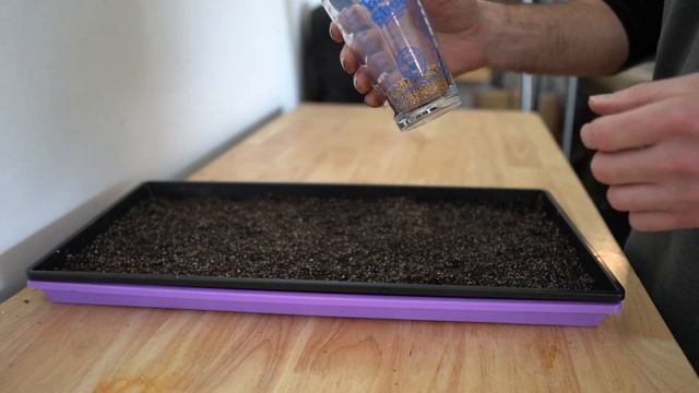 How we are growing microgreens - Frozen Farms EP 5. смотреть онлайн