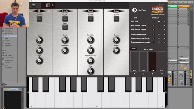 Harmonus 300 - FREE Accordion VST / Harmonium VST / Organ VST | BEST Free VST Plugins