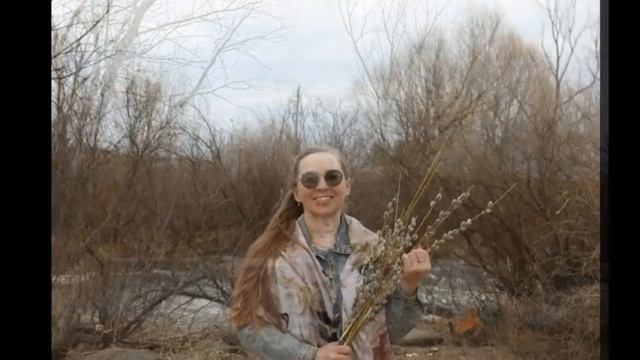 Алёнушка . Александр Дольский кавер