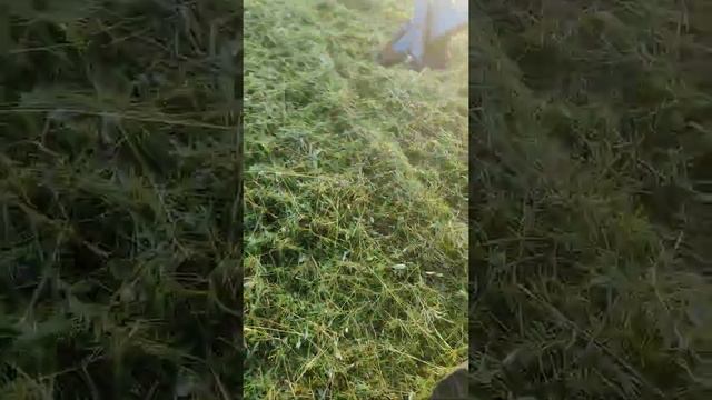 мтз80 косилка кнр-2.5 смотреть онлайн