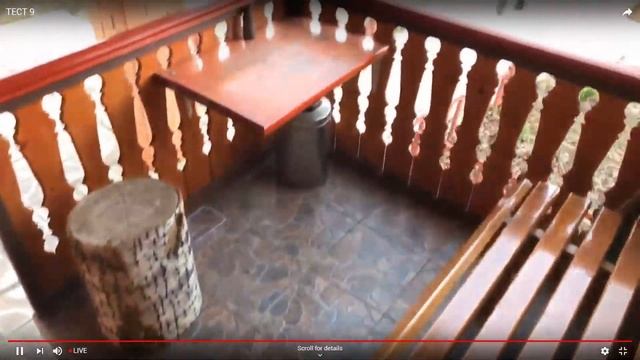 Я Дома. День 10-й. Дача / Саша Тронов, Аня Дельцова смотреть онлайн