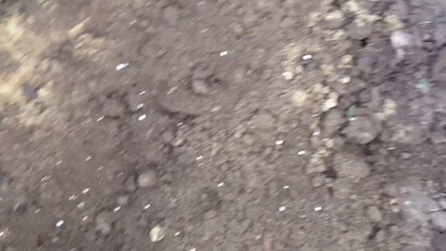 РАДОСТИ НЕТ ПРЕДЕЛА. МОЙ САД УКРАСИТ КРАСАВИЦА ГОРТЕНЗИЯ. ОСЕННЯЯ ПОСАДКА В ОТКРЫТЫЙ ГРУНТ. смотреть онлайн