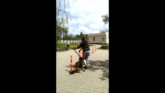 Юла_зачет_слалом и трюки смотреть онлайн