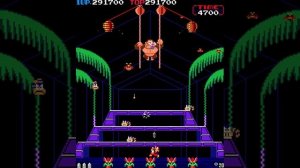 Donkey Kong 3 (1983 Nintendo) (Arcade)