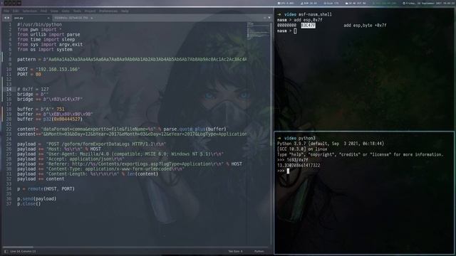 SEH Based Buffer Overflow with Space Limitations - Kevin @ PG Practice смотреть онлайн