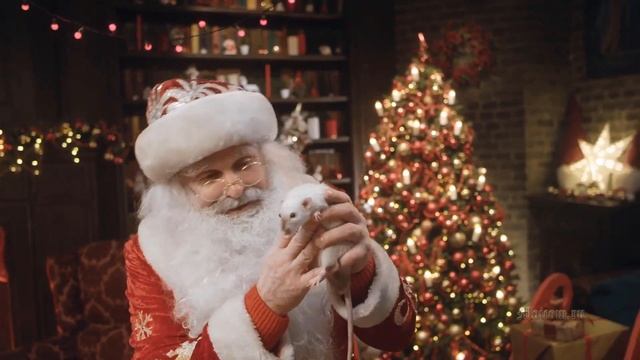 Видео поздравление от Деда Мороза для Коли с Новым годом, ему 1 год, любит мультики и хорошо кушать смотреть онлайн