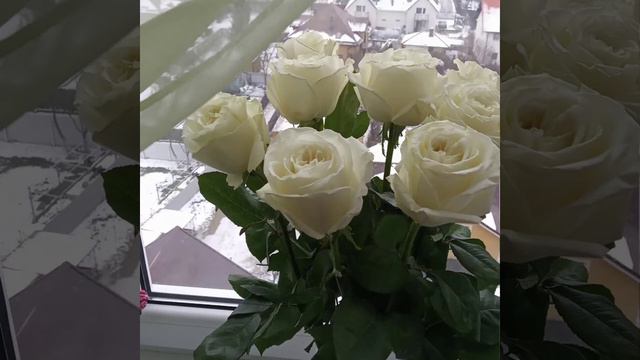 Розы смотреть онлайн