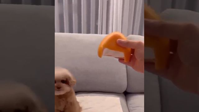 Больше хозяина никто не видел смотреть онлайн