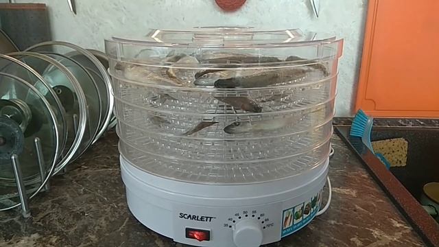 Как вялить корюшку быстро смотреть онлайн