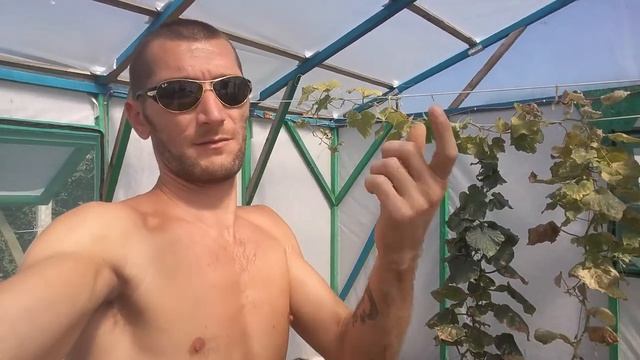 Гидропонная система BigMix уборка Огурца смотреть онлайн