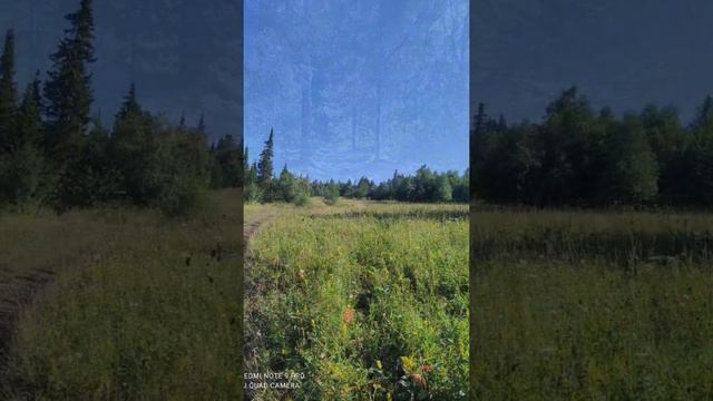 Проект "Уральский Барс" 2021 смотреть онлайн