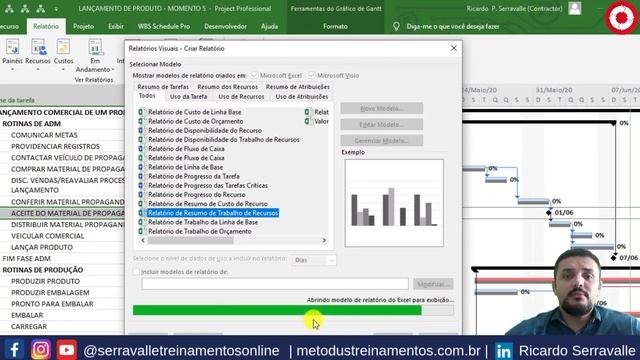 APRENDA A IMPORTAR DADOS DO PROJECT PARA O EXCEL смотреть онлайн