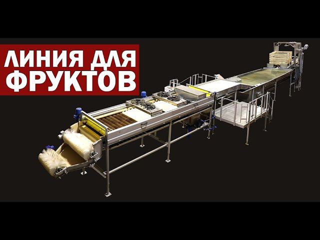 Автоматическая линия для фруктов (видео) смотреть онлайн