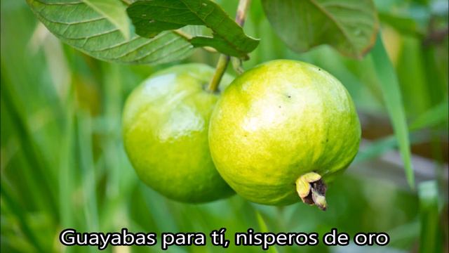 Regalo (poema de Juan Antonio Corretjer musicalizado por Américo Boschetti) смотреть онлайн