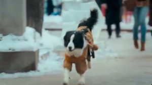 мой парень ангел