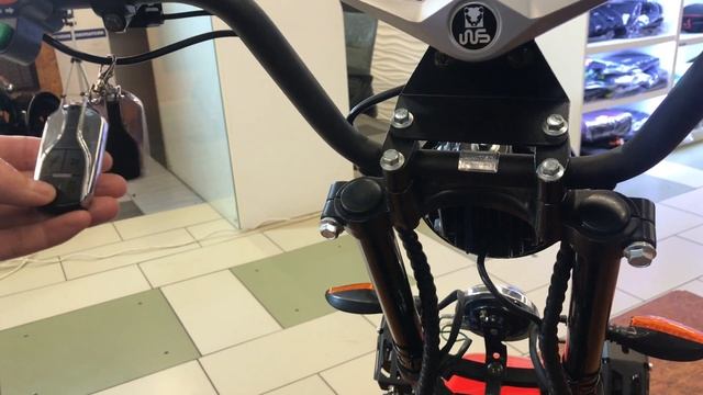 Обзор электроскутера Трицикл Citycoco WS-Pro 2000W, 60В 20Ah