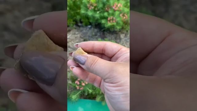 Проблема решится, если сделать это !!! #обряды #гадание #заговоры #изотерика #приворот смотреть онлайн