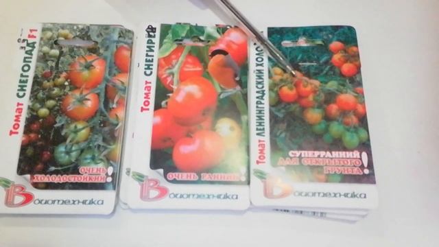 Обзор семян с Сайта Садовый Эльф.Томаты Биотехника смотреть онлайн