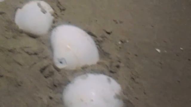 На выездном тренинге в Таиланде - энергетическая практика "Карта Судьбы" смотреть онлайн