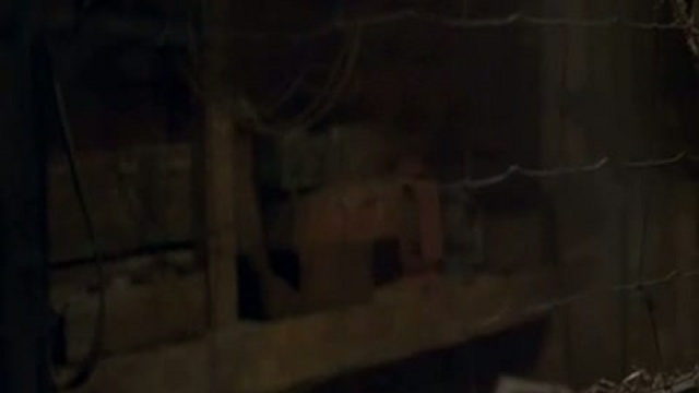 Кукушка-Химера