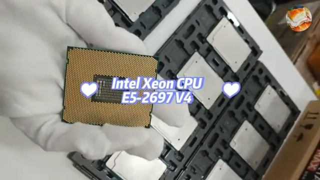 Intel Xeon E5-2697 V4 Processor смотреть онлайн