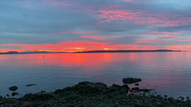 Pea TV Video haiku prompt, November 2023 смотреть онлайн