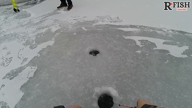 Последний спиннинг и первый лед. Как мне не удалось закрыться по жидкой воде