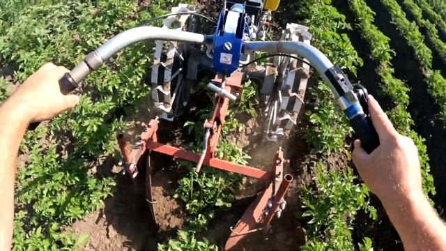 Второе окучивание картошки смотреть онлайн