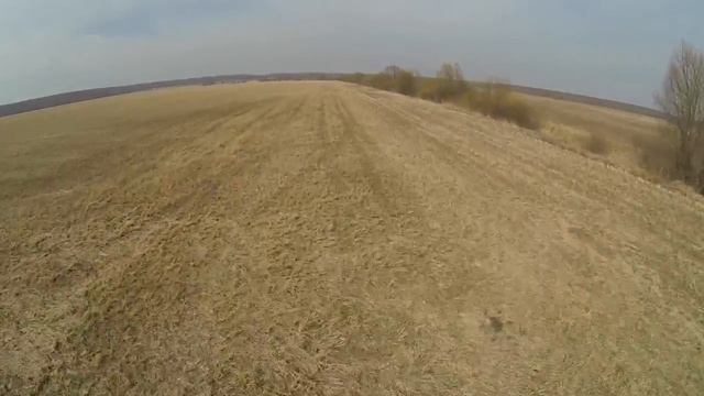 ПОИСК МОНЕТ КЛАДОВ ЗОЛОТА И СТАРИНЫ FINDS OF TREASURE HUNTERS смотреть онлайн