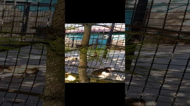 За кадром,они меня укусили. смотреть онлайн