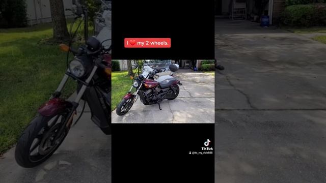 #harleydavidson #beginnerrider #AdamecStAugustine #throttleaddikt #scooter #symfiddle200i #bikermom смотреть онлайн