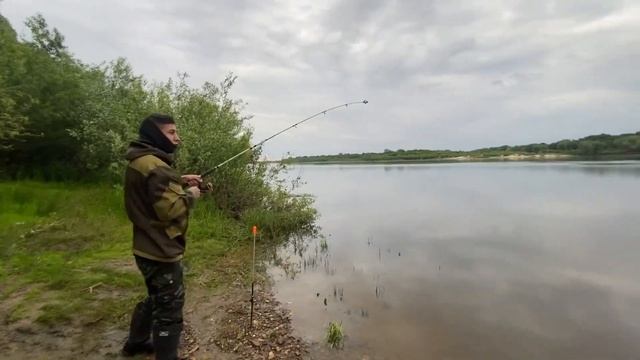 С ТРУДОМ ДОБРАЛИСЬ ДО ЗАВЕТНОГО МЕСТА НА МОПЕДЕ! Рыбалка на Оке. Ловля мирной рыбы на опарыша 2023. смотреть онлайн