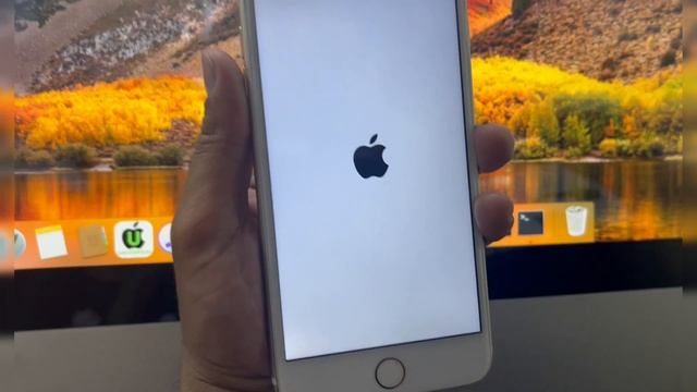 Jailbreak IPhone/iPad | Palera1n Jailbreak IOS 15/16/17 | Install Sileo | Trollstore 2