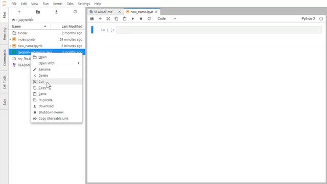 JupyterLab Downloading Files смотреть онлайн