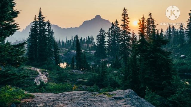 Свекровь меня ненавидит. Истории из жизни. Жизненные истории.