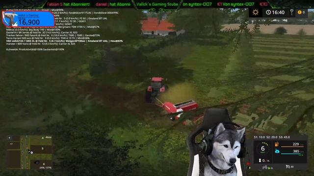 LS 17 Der Hund muss Heu Pressen Projekt Papenburg #10 Community Stream ?LIVE? смотреть онлайн