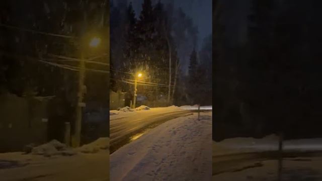 привет из Москвы от Принцессы ( Марфа Филипповна) выпускник питомника чихуахуа Кастропуло Крым смотреть онлайн