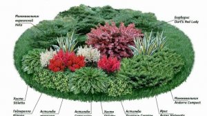 Красивые клумбы, цветники на даче. 100 идей и схемы цветников разного типа.