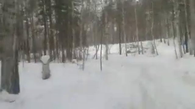 СОТРУДНИКИ ГУФСИН РОССИИ ПО КРАСНОЯРСКОМУ КРАЮ, ОТВЕЧАЮЩИЕ ЗА ВОСПИТАНИЕ НЕ ЗАКОНОПОСЛУШНЫХ ГРАЖДАН смотреть онлайн